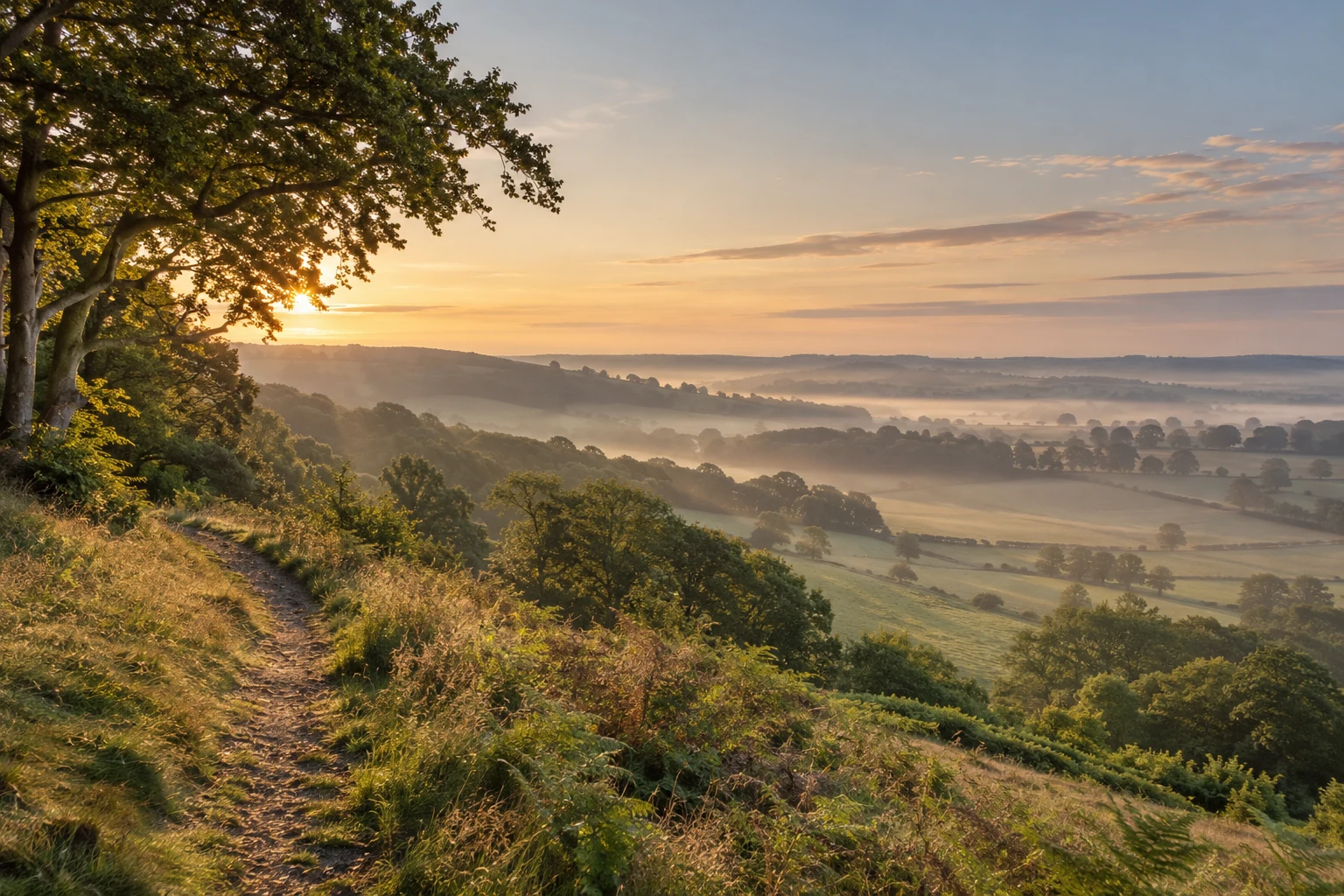 Rolling Surrey hills, a footpath and soft morning mist